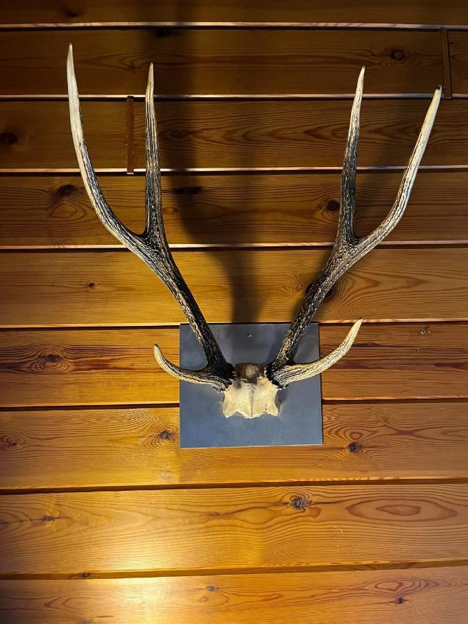 Veluwse Bungalow エルメロ エクステリア 写真